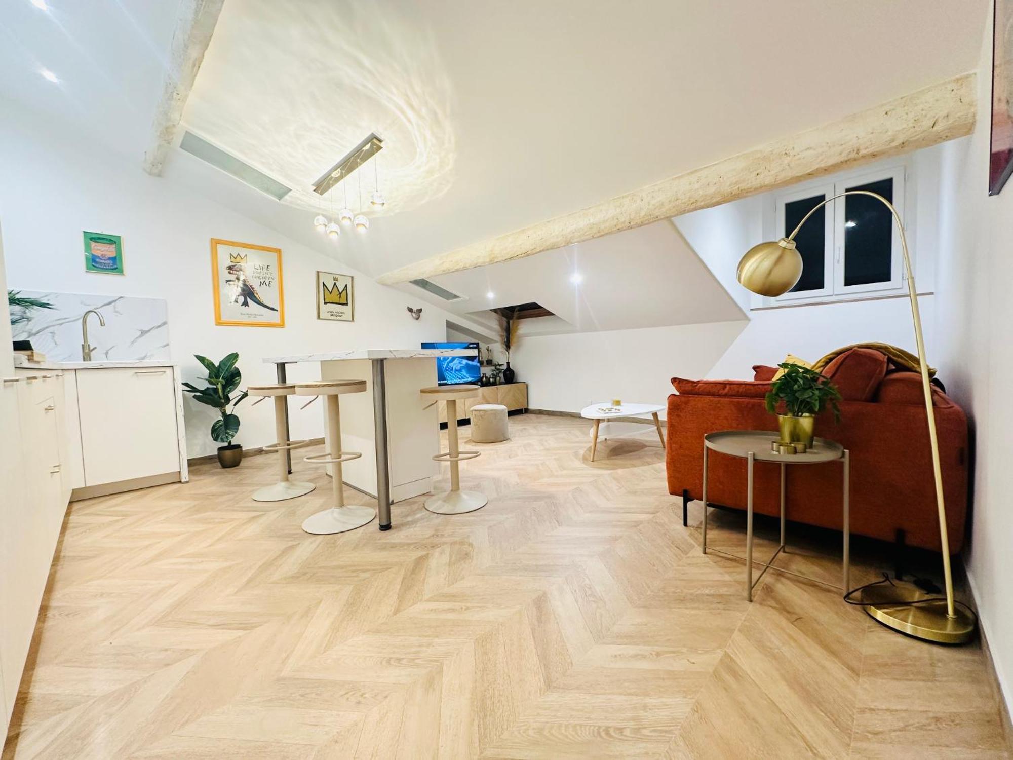 Elegant Mansarde-place Du Pin Apartment Nice